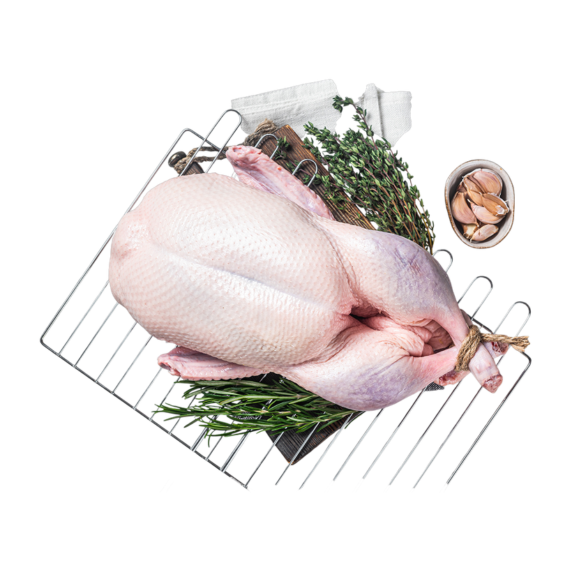 Poultry