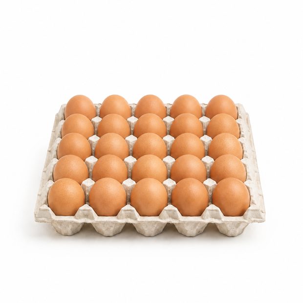 Brown table eggs in a tray