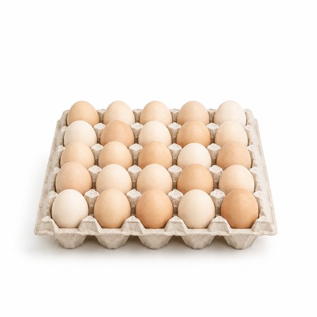 Mixed white and brown eggs