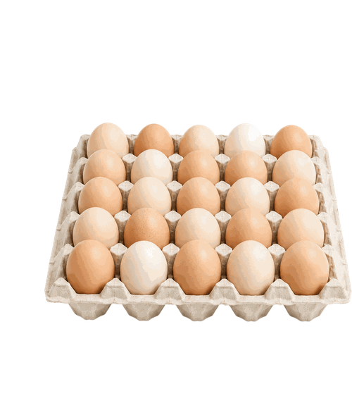 Eggs